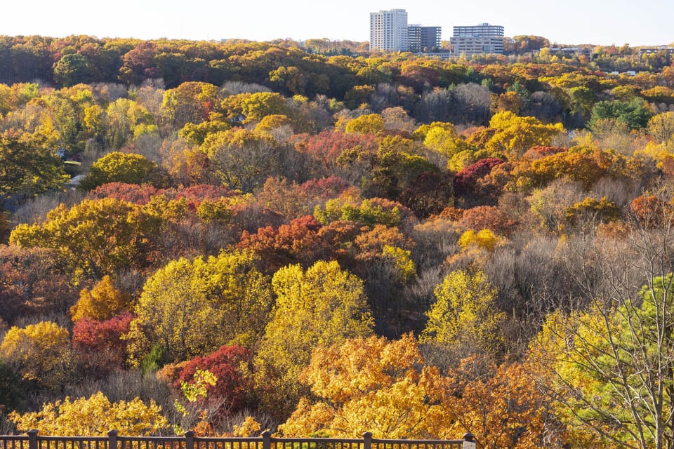 Early Fall view from decks