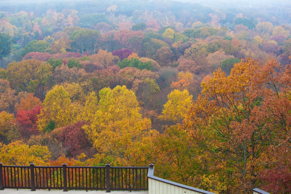 Early Fall view from decks