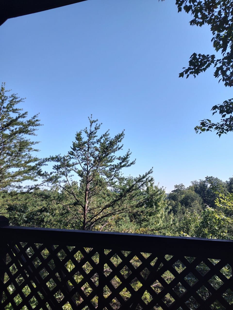 IMG 20230911 104846059 HDR