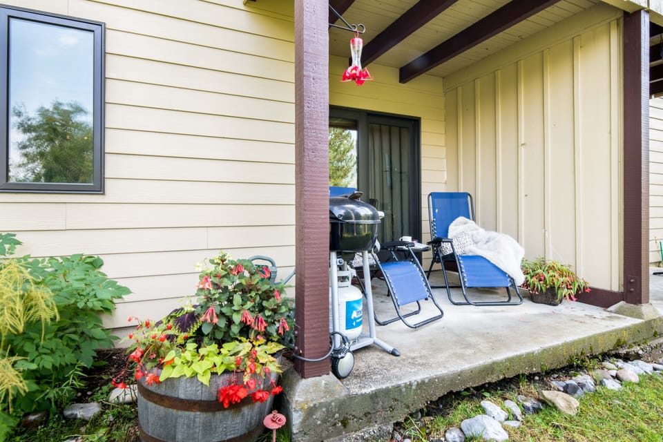 Patio - Please note there is now an electric grill