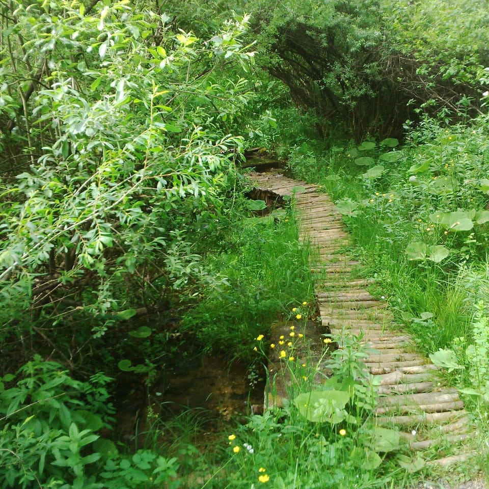 Creek 100meter from property