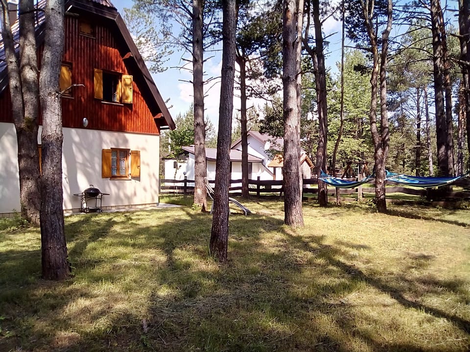 BBQ, Pine forest