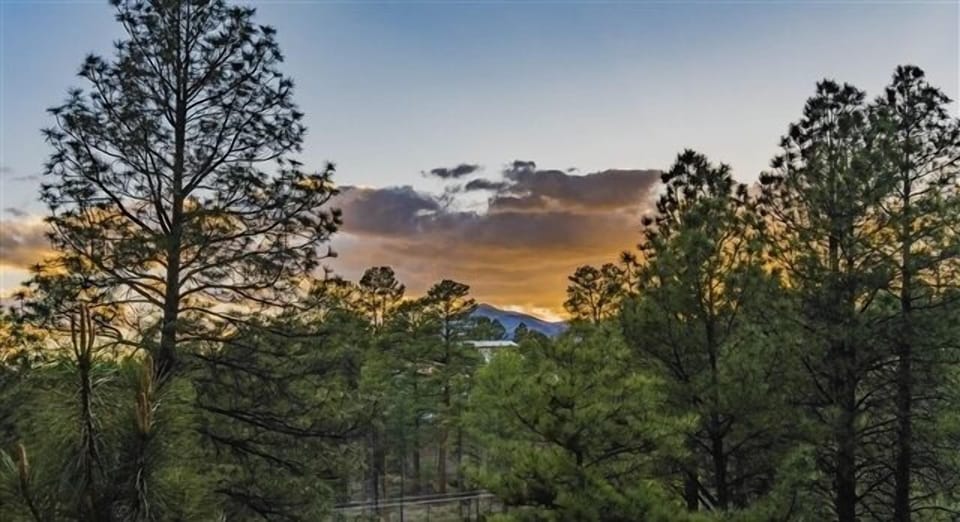 Mountain Views
