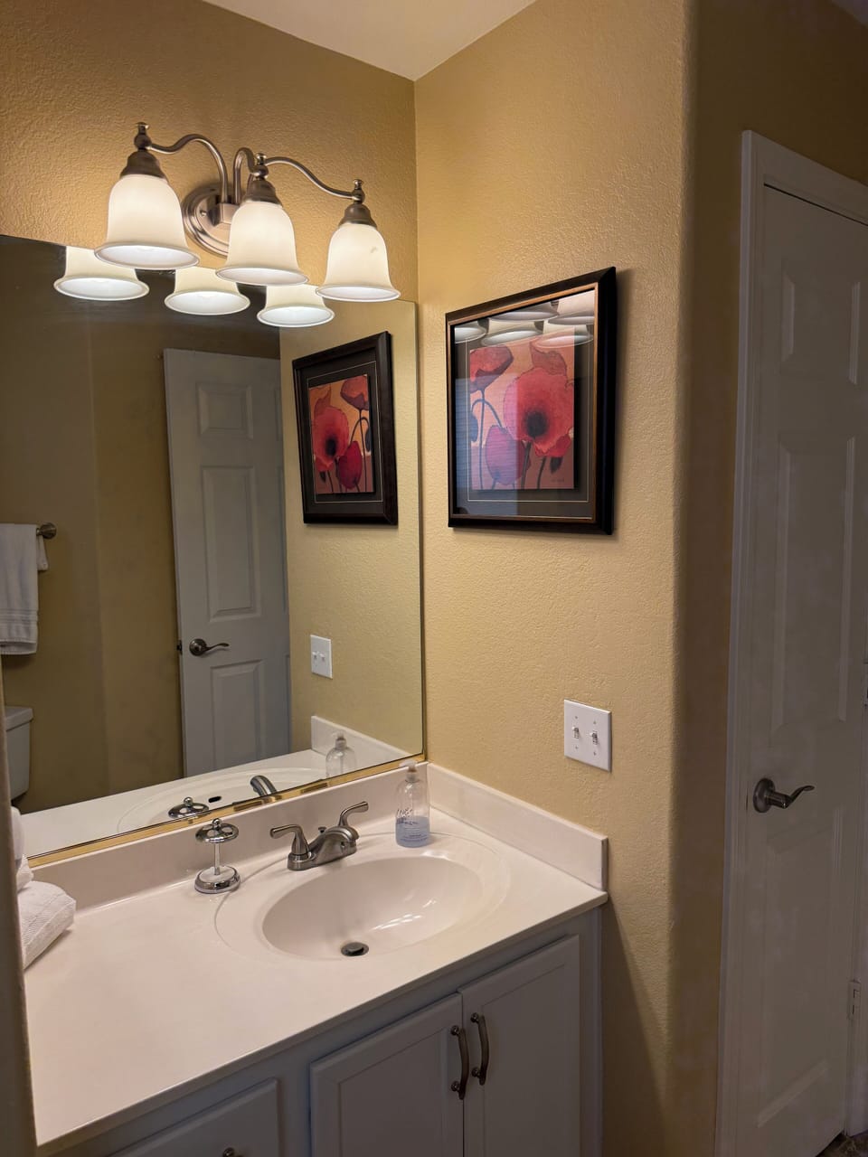 Guest bathroom