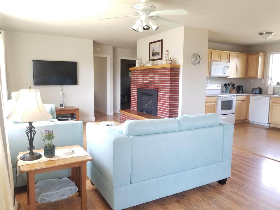 New couches, gas fireplace and smart tv