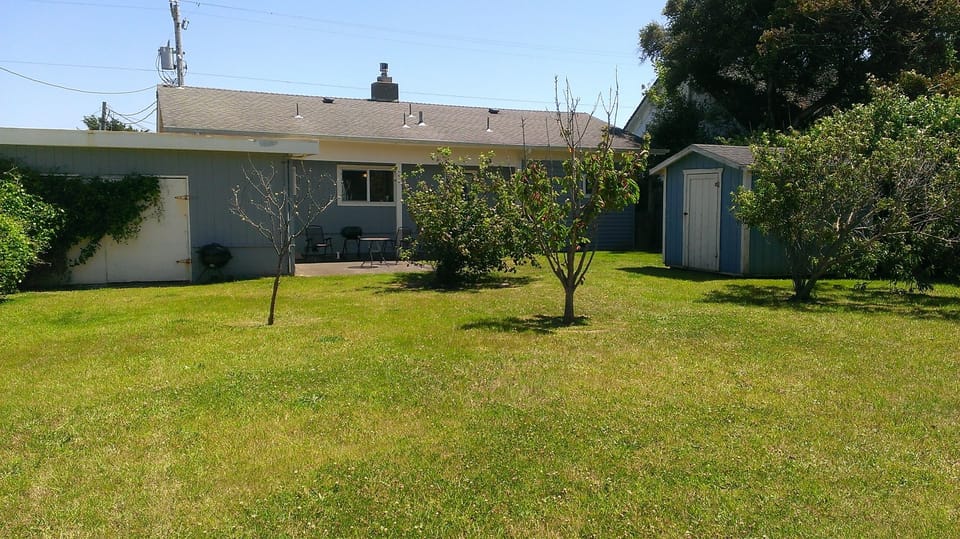 Spacious, fenced back yard with small patio and BBQ