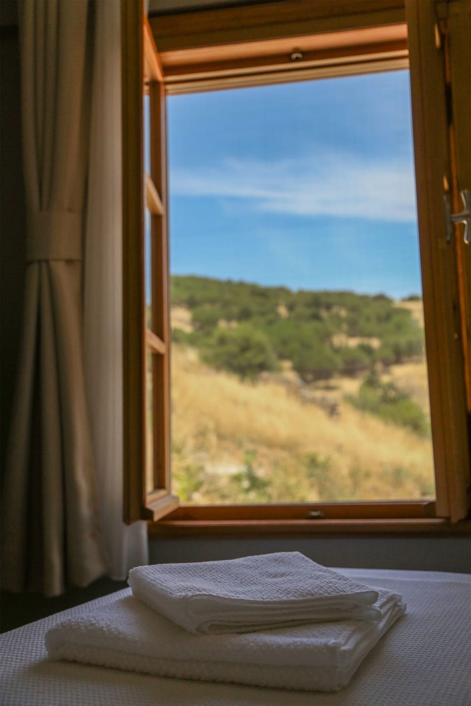 Deluxe Room, Hill View | 1 bedroom, premium bedding, memory foam beds, desk