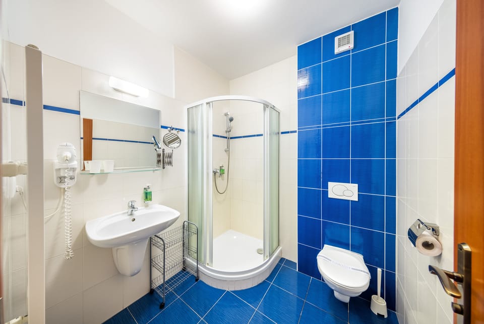 Free toiletries, hair dryer, towels
