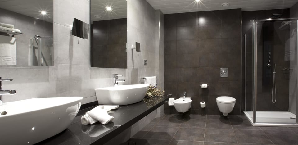 Hair dryer, bidet, towels