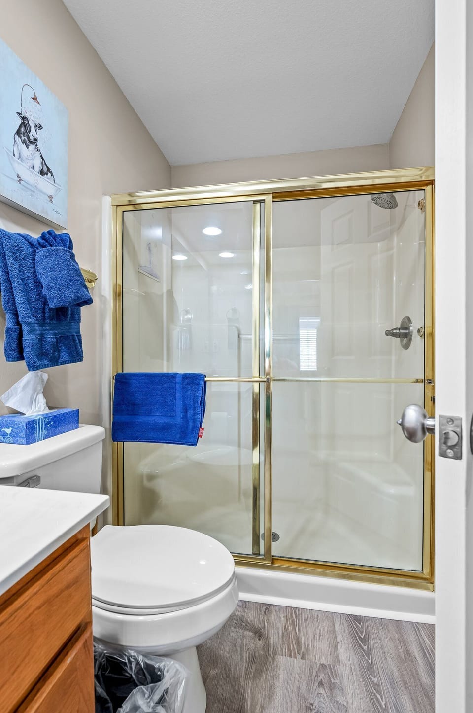 Main floor bathroom with walk-in shower