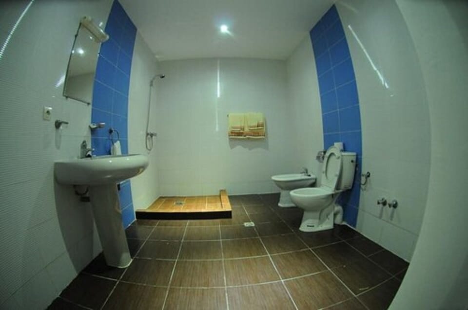 Shower, free toiletries, hair dryer, bidet