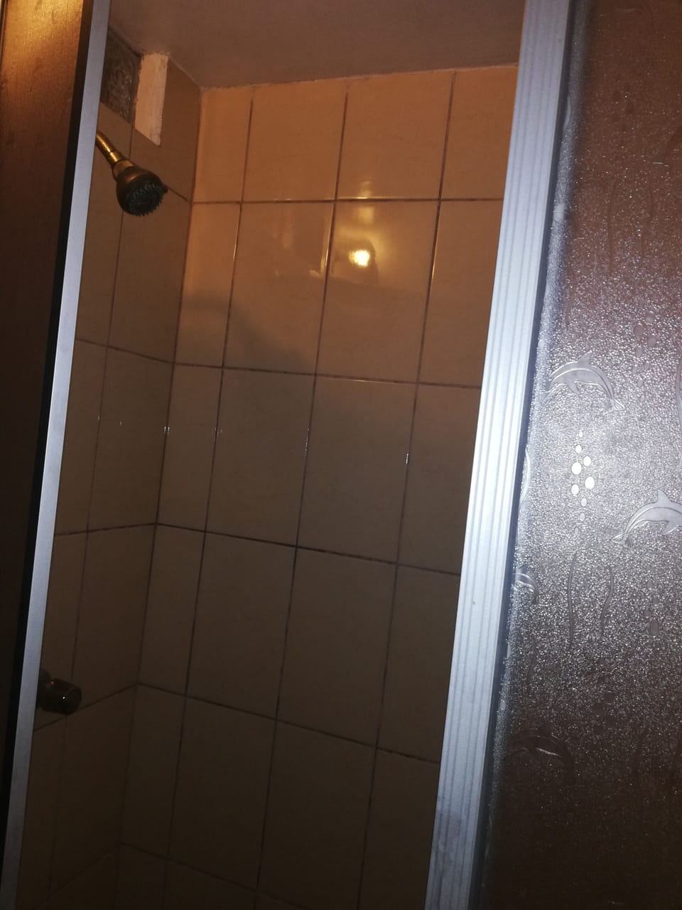 Double Room | Bathroom shower