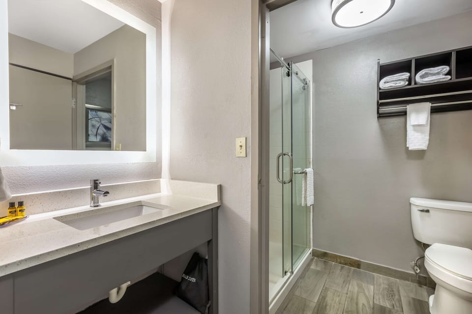 Standard Room, 1 King Bed, Non Smoking, Refrigerator & Microwave (Shower Only) | Bathroom | Free toiletries, hair dryer, towels