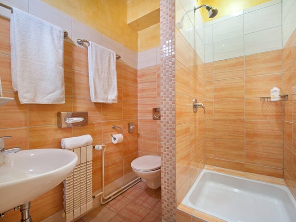 Combined shower/tub, hair dryer, towels