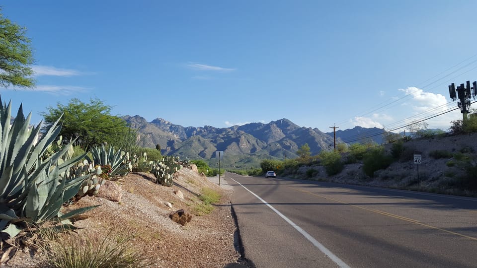 Right outside the  gates..take a morning walk to Sabino Canyon Tours⛰