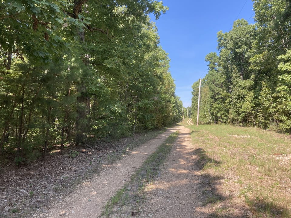 The private road to Redbud Cottage.  You'll see abundant wildlife!