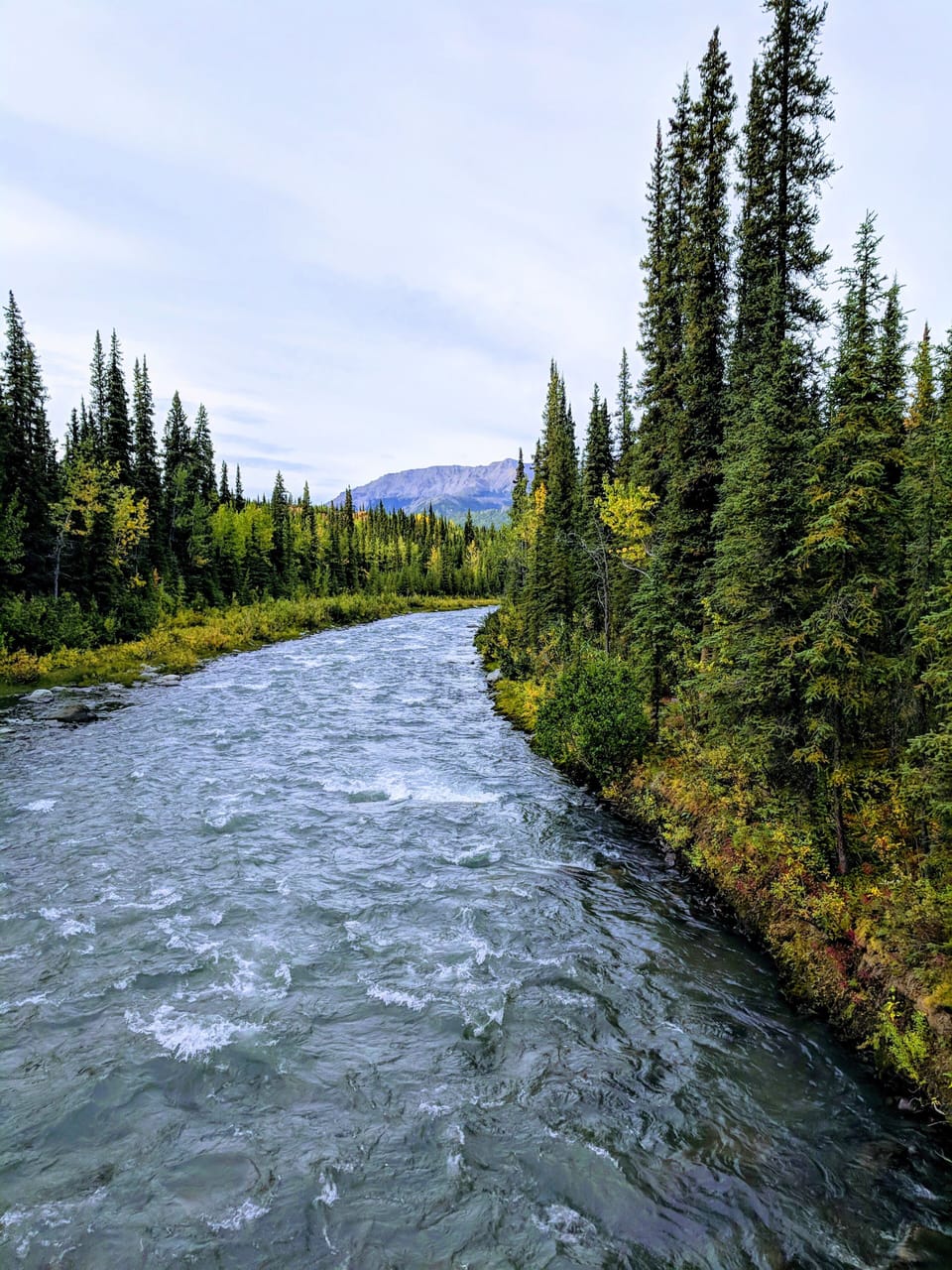 Riley Creek in the park
