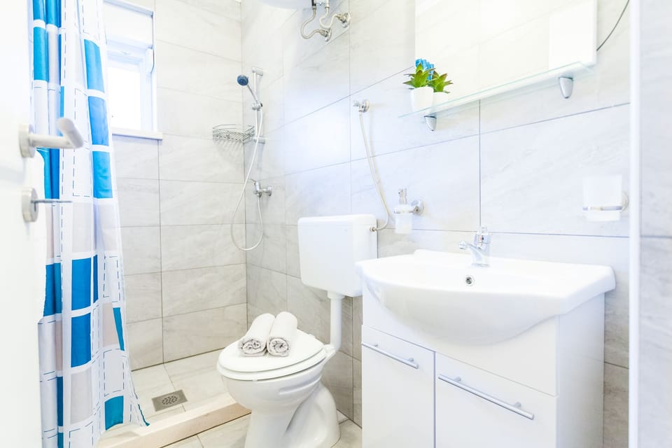 Deluxe Double Room | Bathroom | Shower, free toiletries, hair dryer, towels