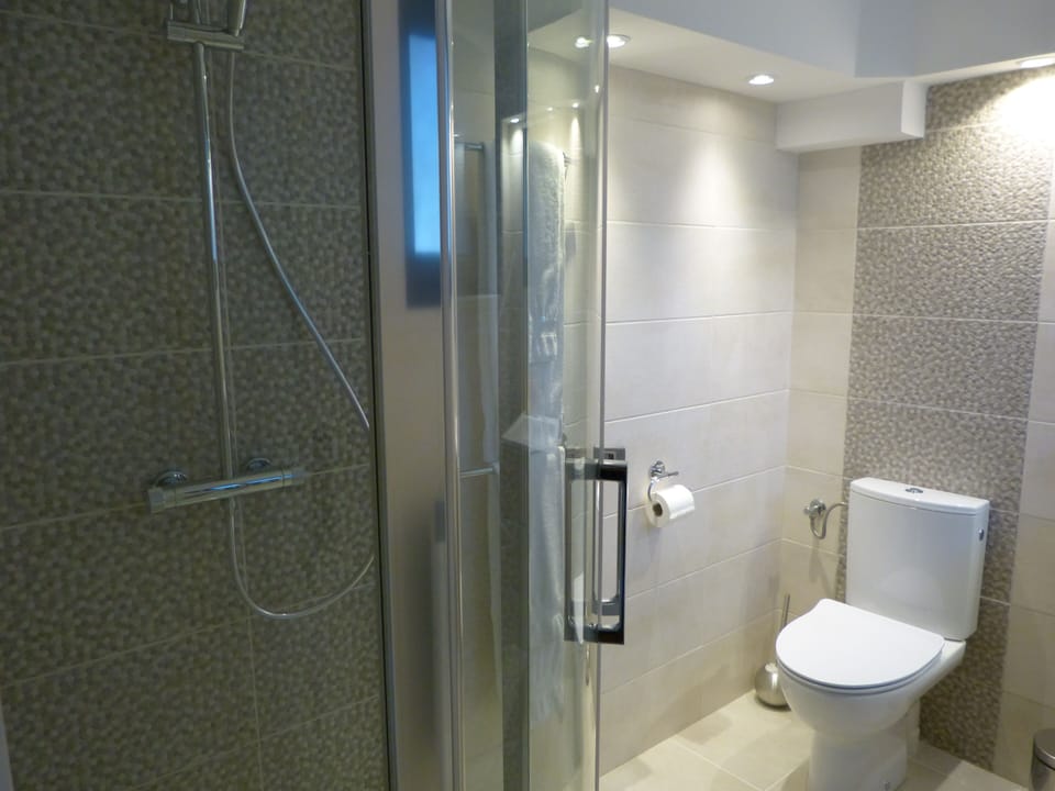 Double Room | Bathroom | Shower, free toiletries, hair dryer, towels