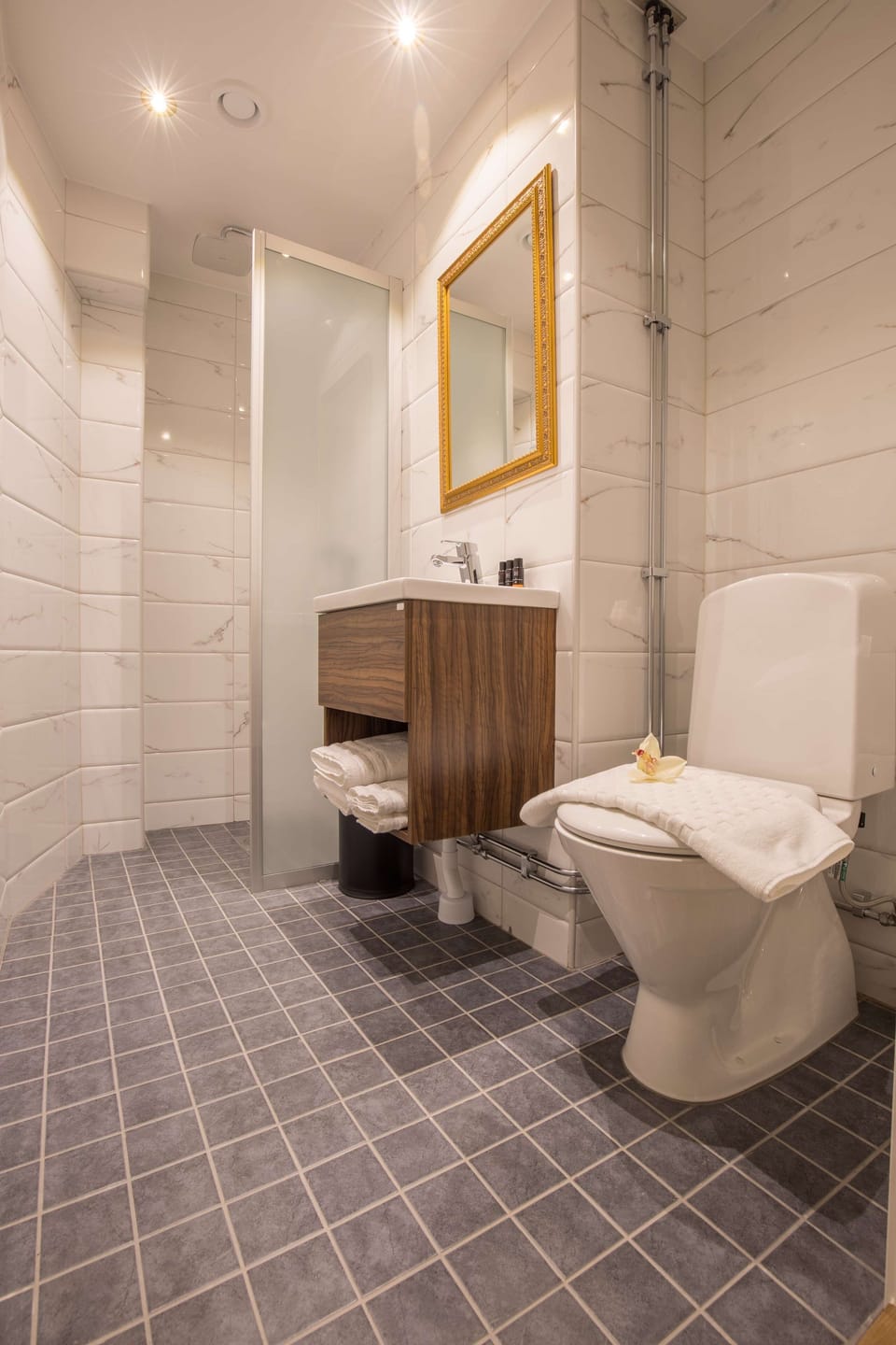 Shower, rainfall showerhead, free toiletries, hair dryer