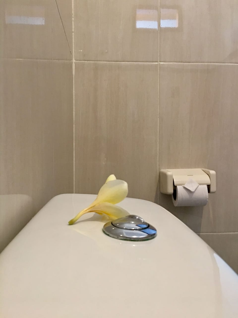 Standard Double Room, 1 Queen Bed, Pool View | Spa