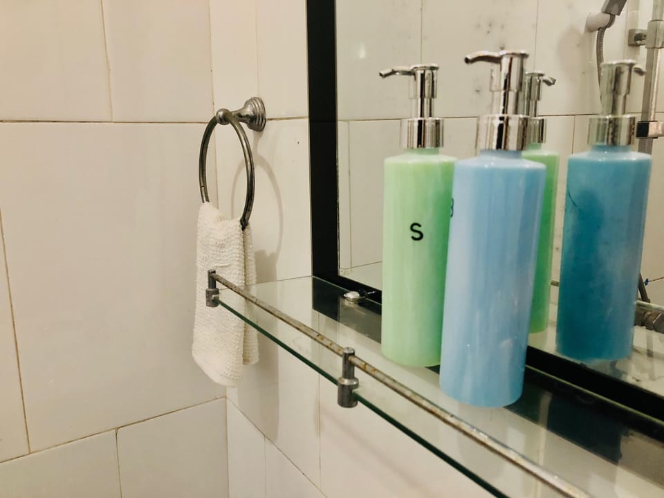 Shower, free toiletries, hair dryer, bidet