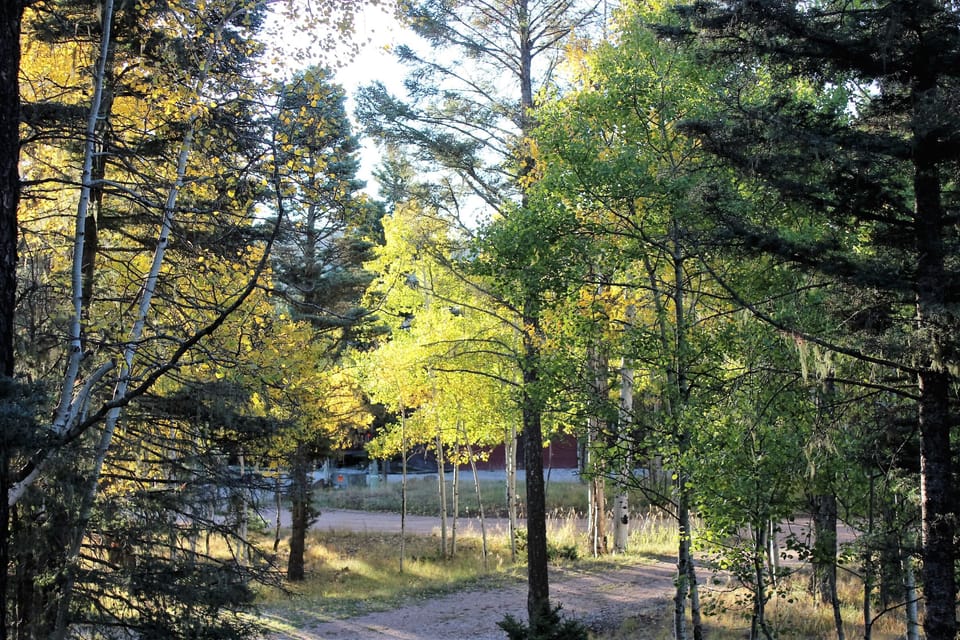 Fall View From the deck
