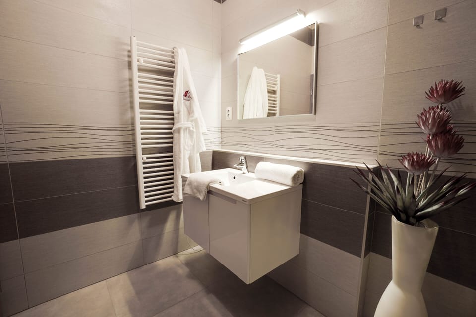 Business Double Room (Extra bed) | Bathroom | Shower, free toiletries, hair dryer, slippers