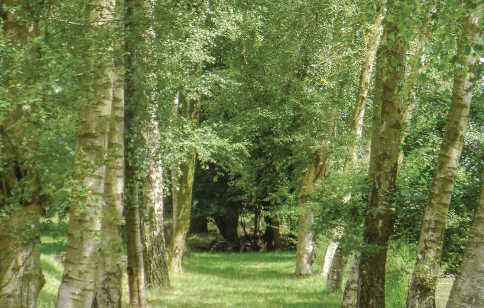 area