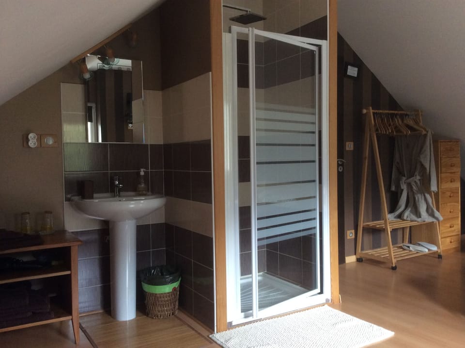 Double Room | Bathroom | Shower, free toiletries, hair dryer, towels