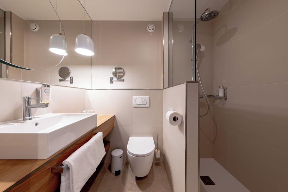 Hair dryer, bidet, towels