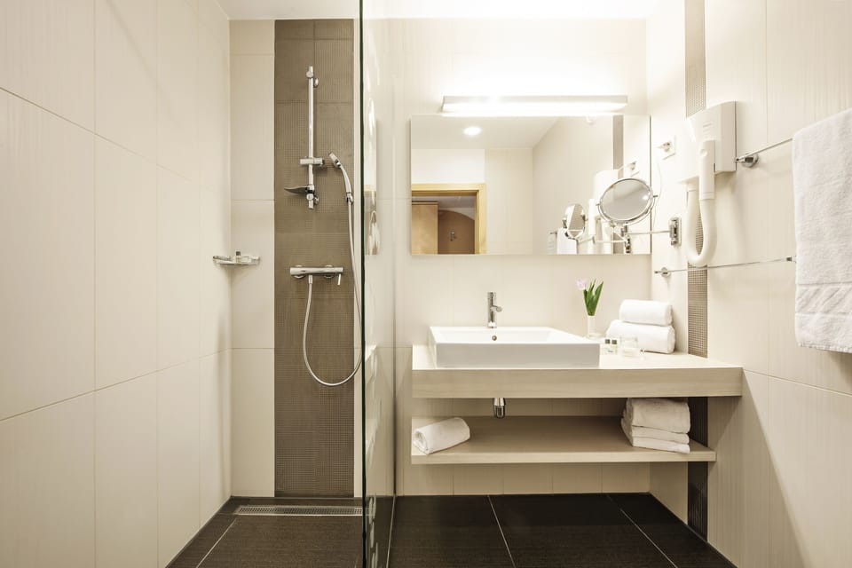 Hair dryer, bidet, towels