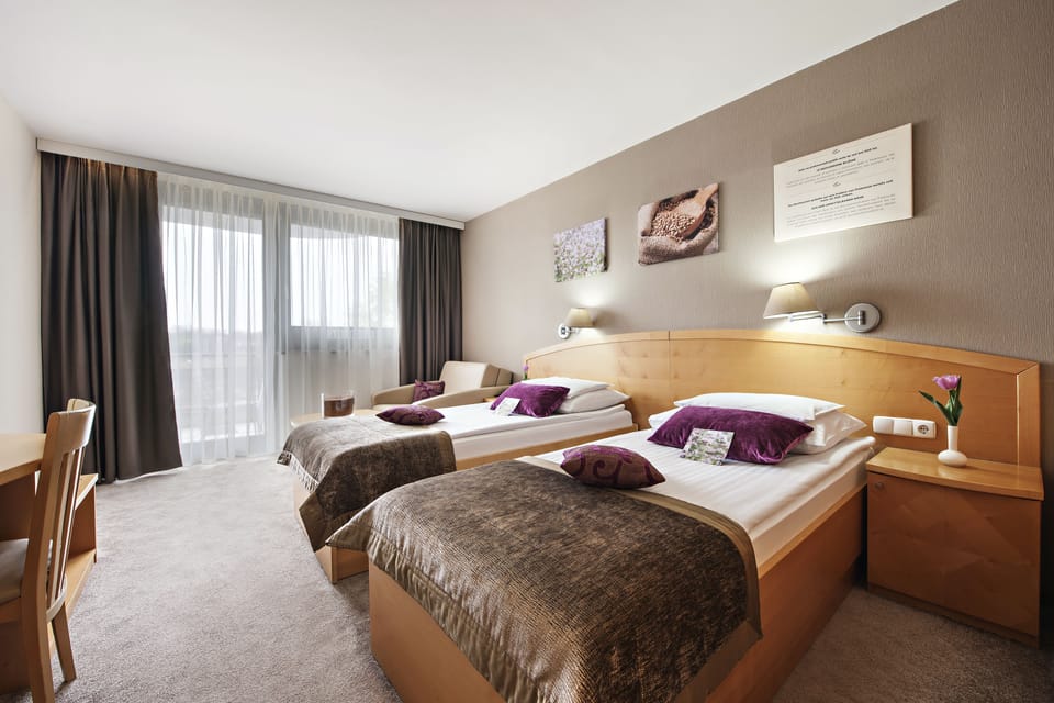 Standard Double Room, Balcony | Minibar, in-room safe, desk, free WiFi