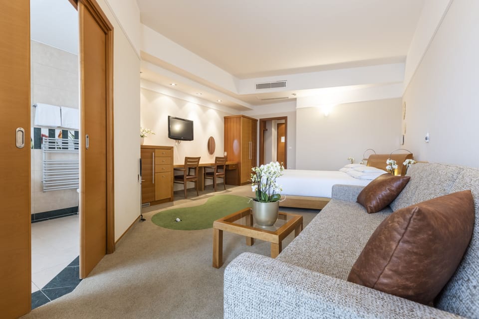 Superior Double Room | Minibar, in-room safe, desk, free WiFi