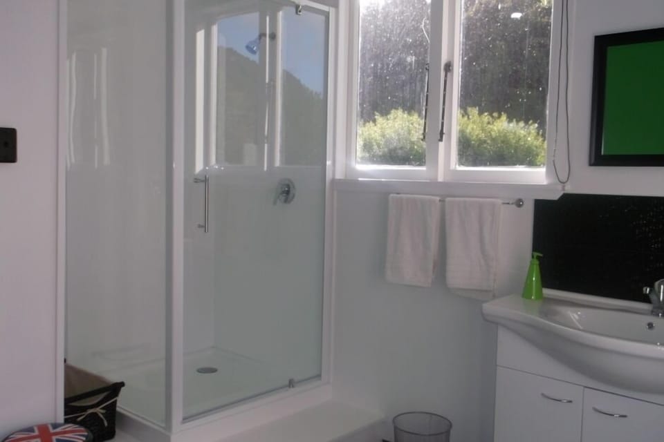 Shower, Toilet and Washing Machine