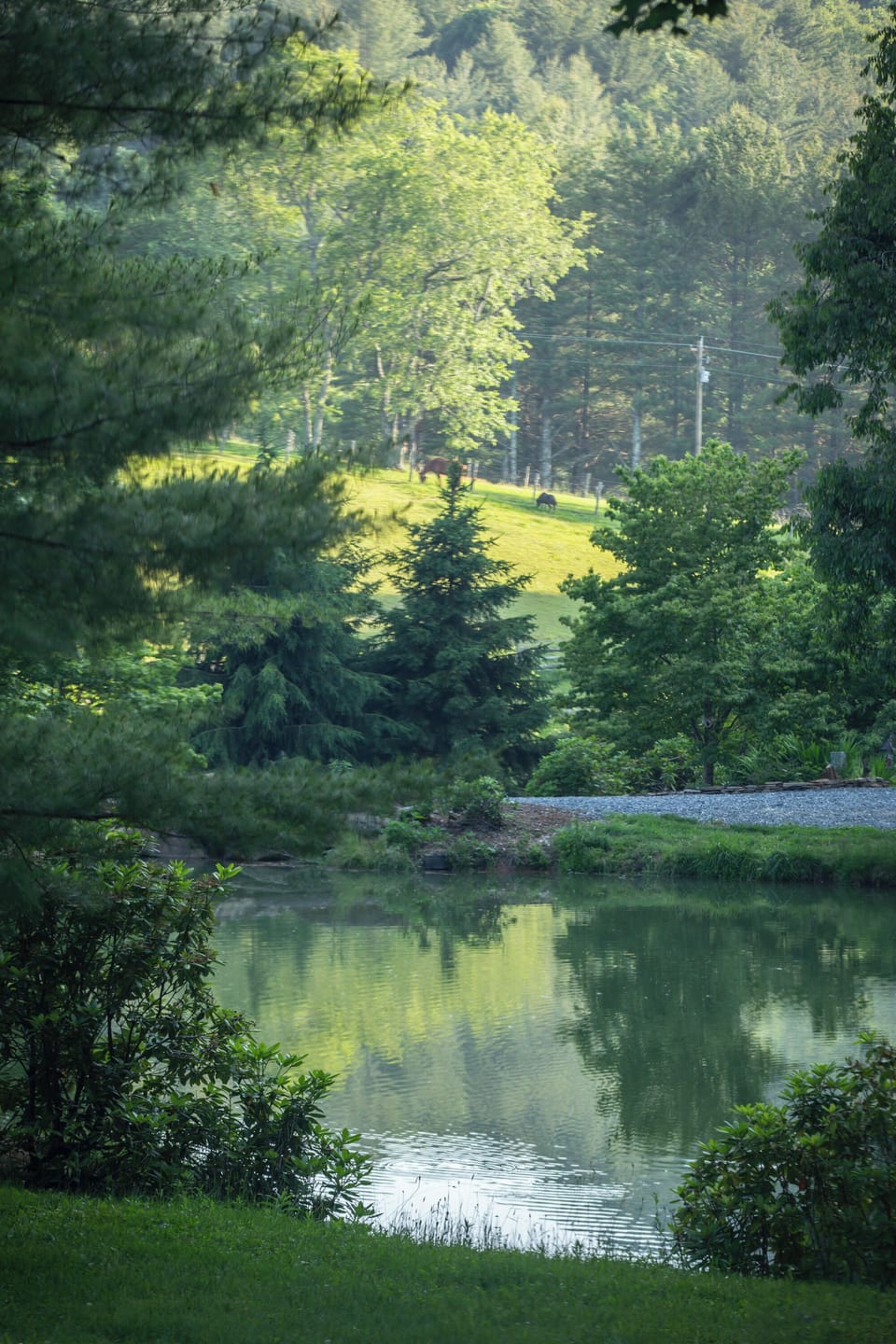There are several ponds on the property.