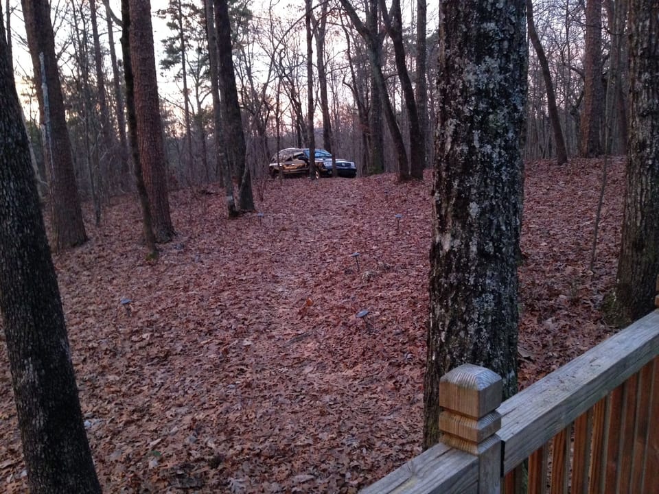 Front Porch View