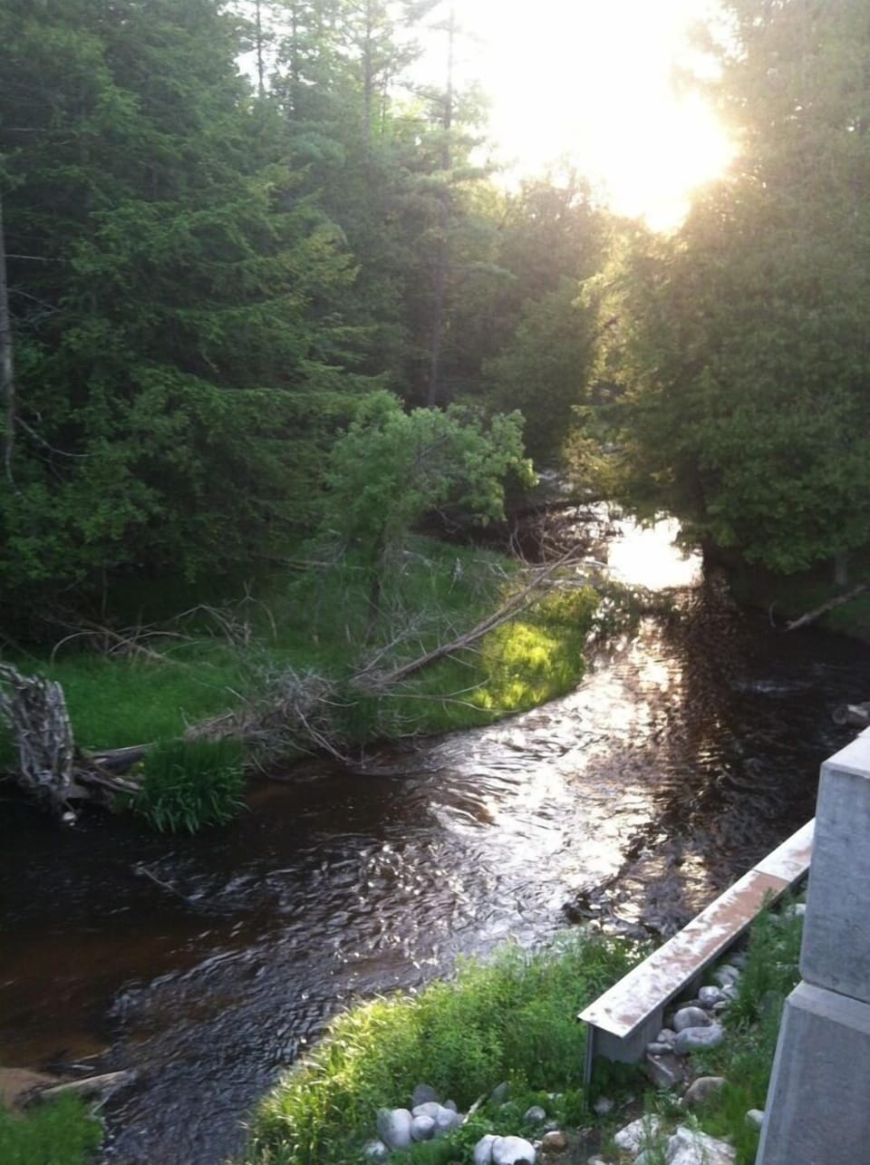 Awesome fishing on Bear Creek for Salmon, Trout and Steelhead