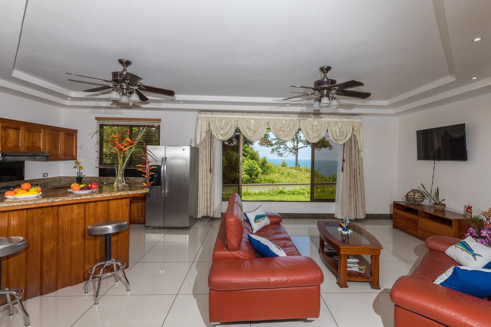 Open Living Room and Kitchen