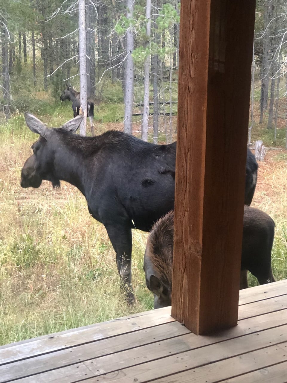 View from property
