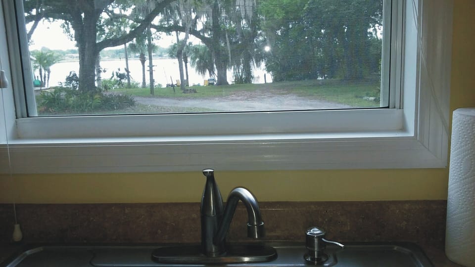 The view