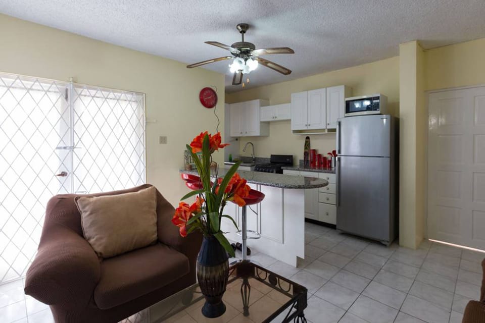 Business Apartment, 1 Bedroom | Living area | 50-inch flat-screen TV with cable channels, TV, DVD player