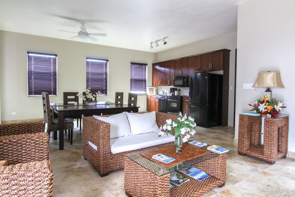 Huge living dining with full kitchen, laundry tv and modern furnishings