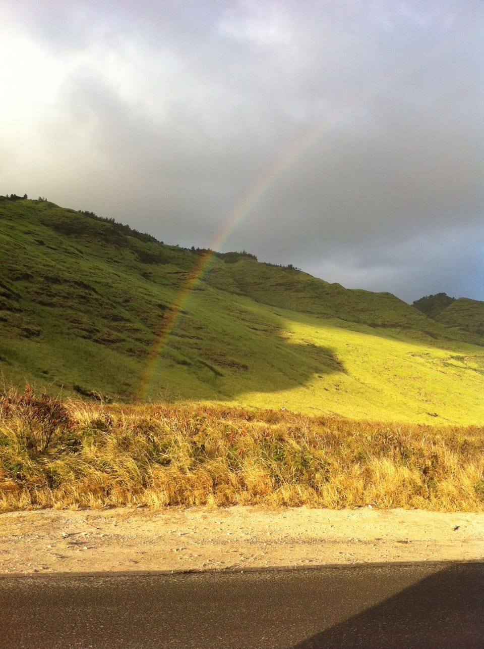 Rainbows, rainbows and more rainbows!
