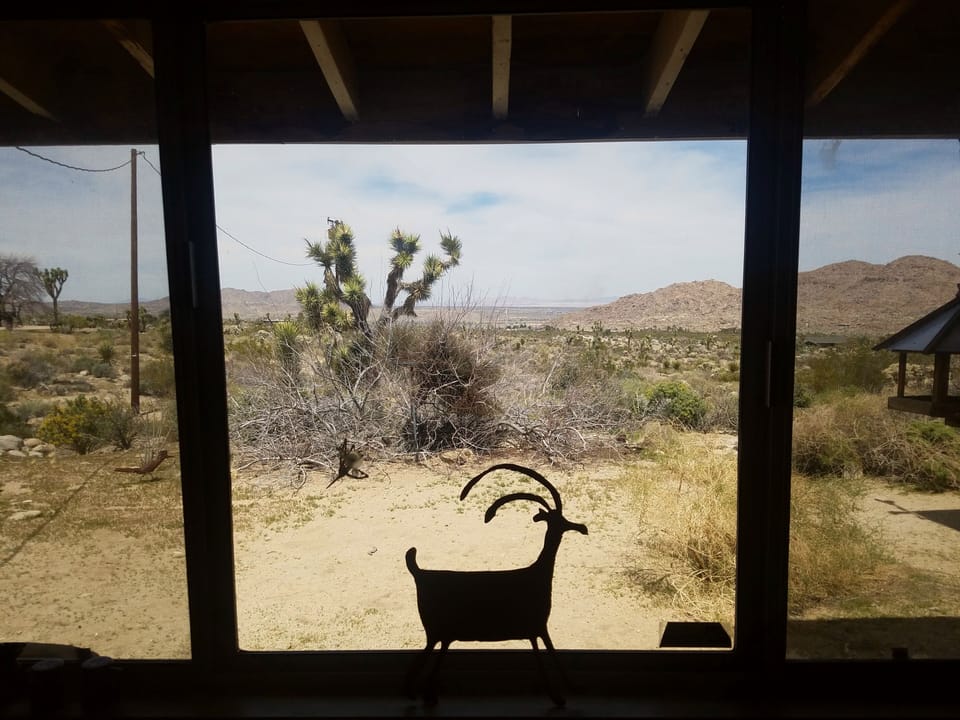 Kitchen view