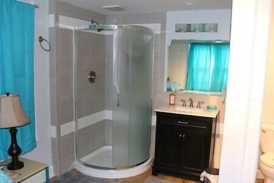 This is the shower and sink in the master bedroom downstairs.