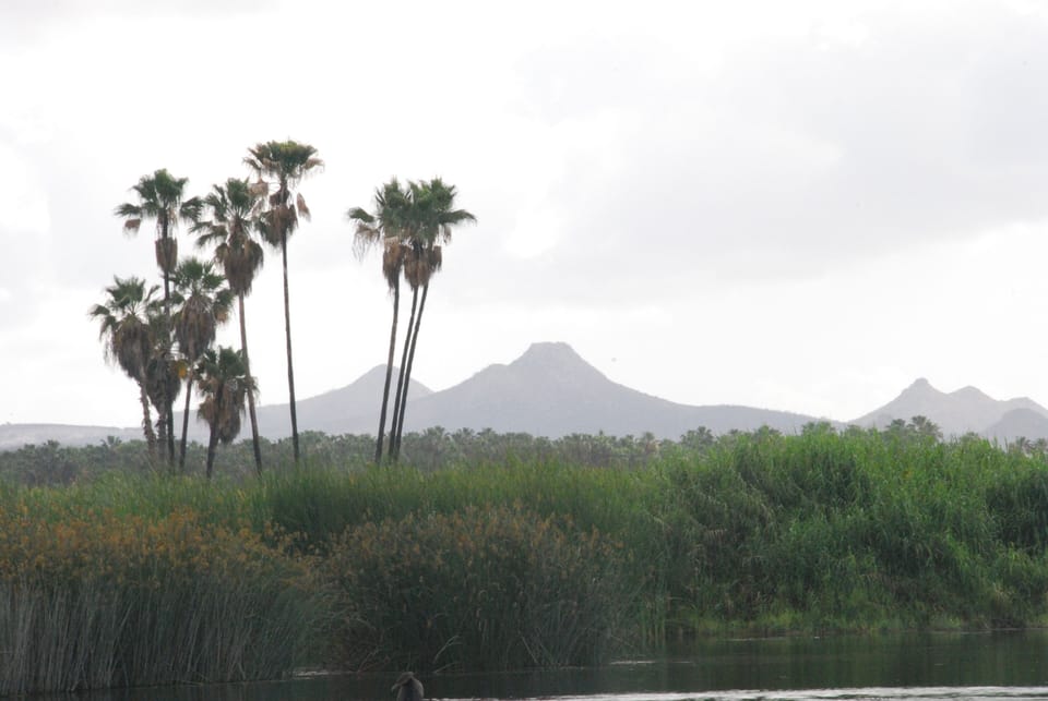 San Jose estuary