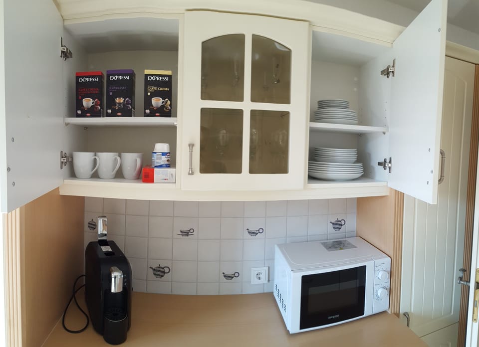 centrally located, modernly furnished 2 rooms apartment (64 m²) | Private kitchen | Full-size fridge, microwave, oven, stovetop