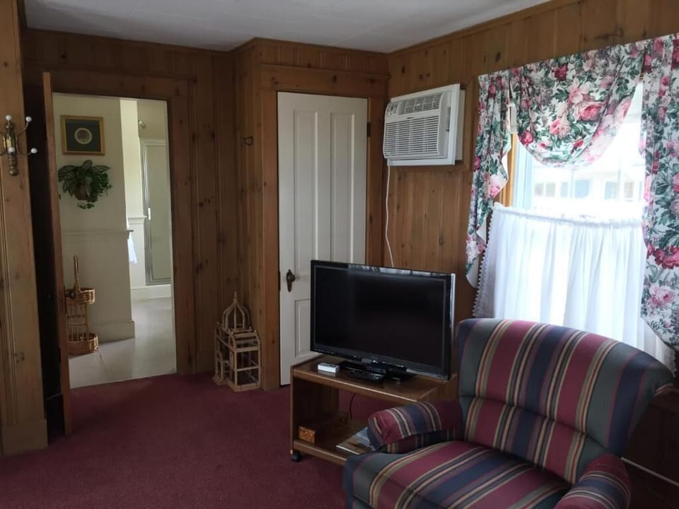 Flat-screen TV