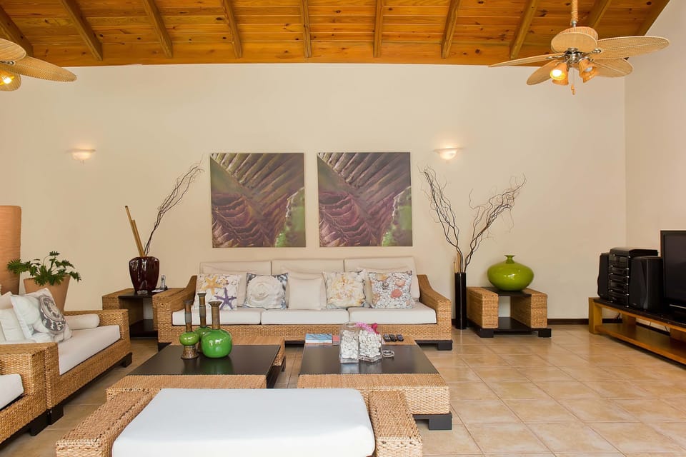 Villa, 1 King Bed, Non Smoking | Living room | LCD TV, DVD player
